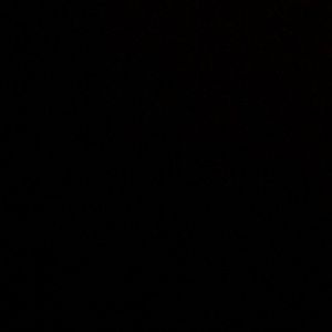 Meet your Posher, Paedyn